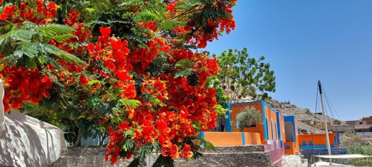 Cataract Nubian Resort Ασουάν Εξωτερικό φωτογραφία