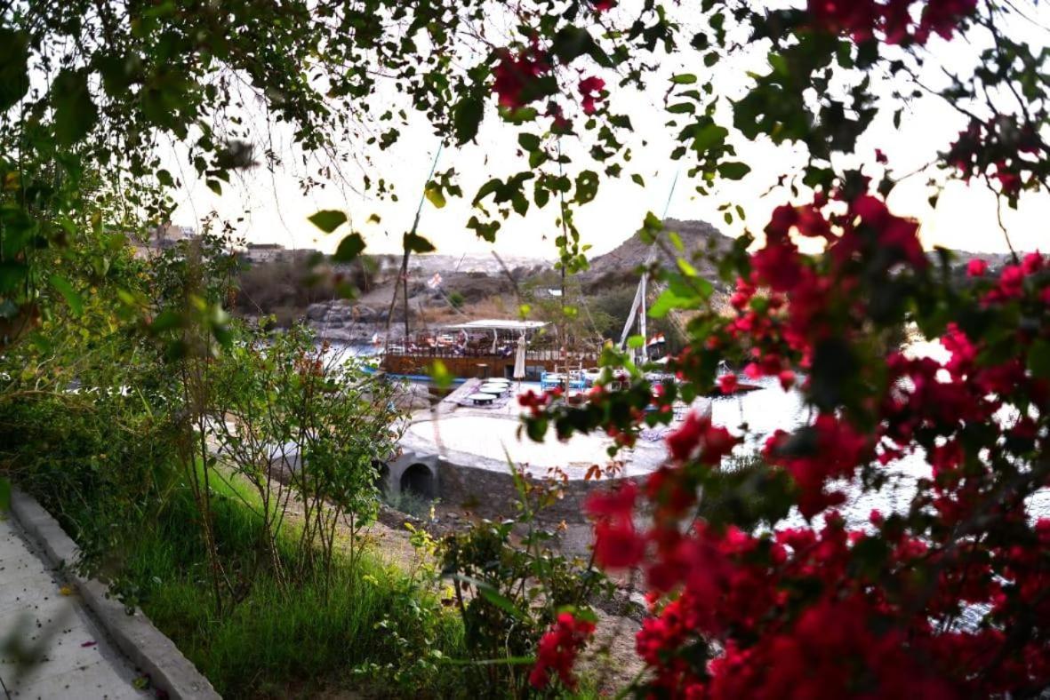 Cataract Nubian Resort Ασουάν Εξωτερικό φωτογραφία